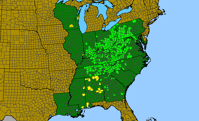 The range of Oxalis grandis